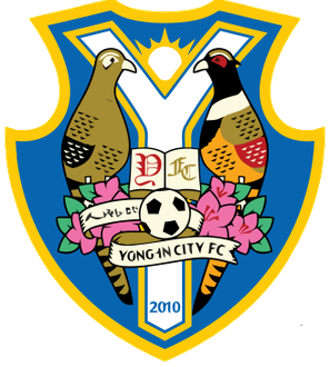 Yong-in FC